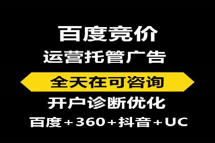 搜索引擎营销（SEM）专员的挑战与机遇